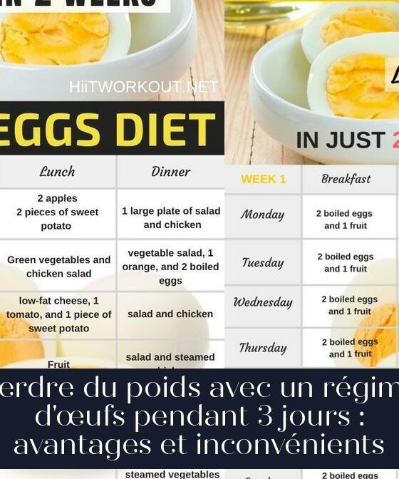 Perdre du poids avec un régime d'œufs pendant 3 jours : avantages et inconvénients