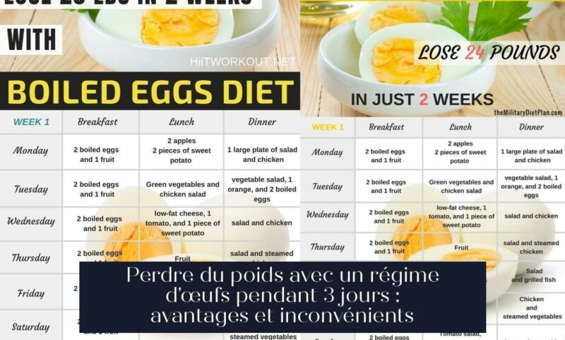 Perdre du poids avec un régime d'œufs pendant 3 jours : avantages et inconvénients